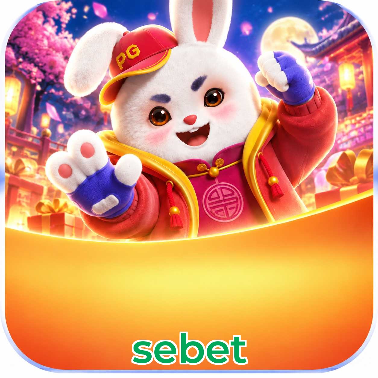 sebet Troubleshooting